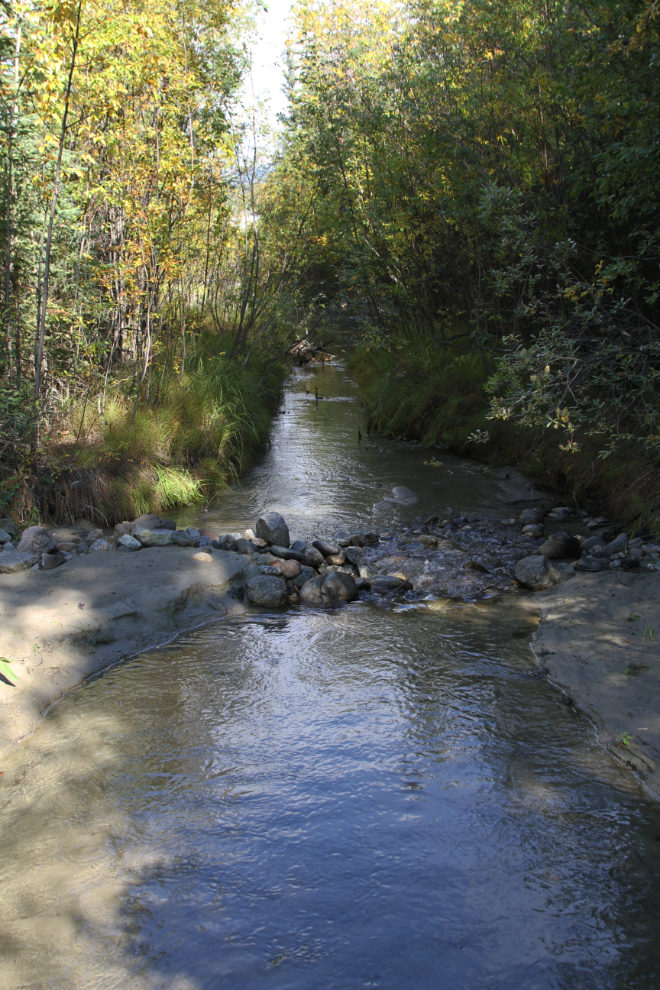 Spook Creek - Whitehorse, Yukon