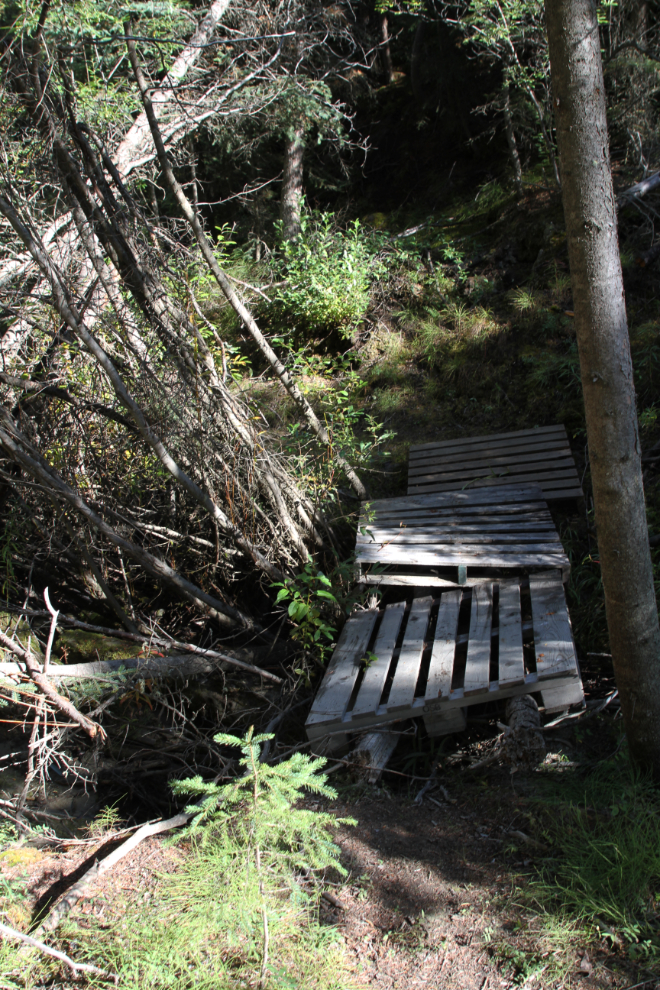 Bridge on the trail along Spook Creek in Whitehorse, Yukon