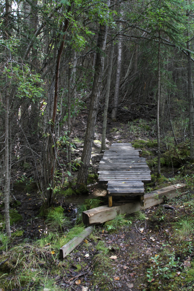 Spook Creek - Whitehorse, Yukon