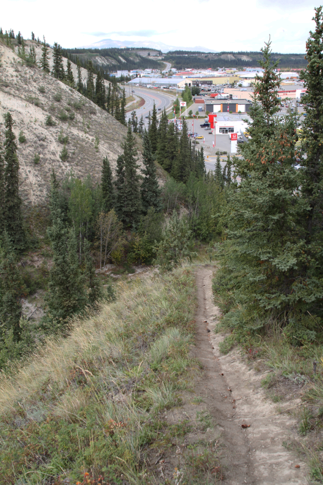 Steep walking trail down from the airport at Whitehorse, Yukon