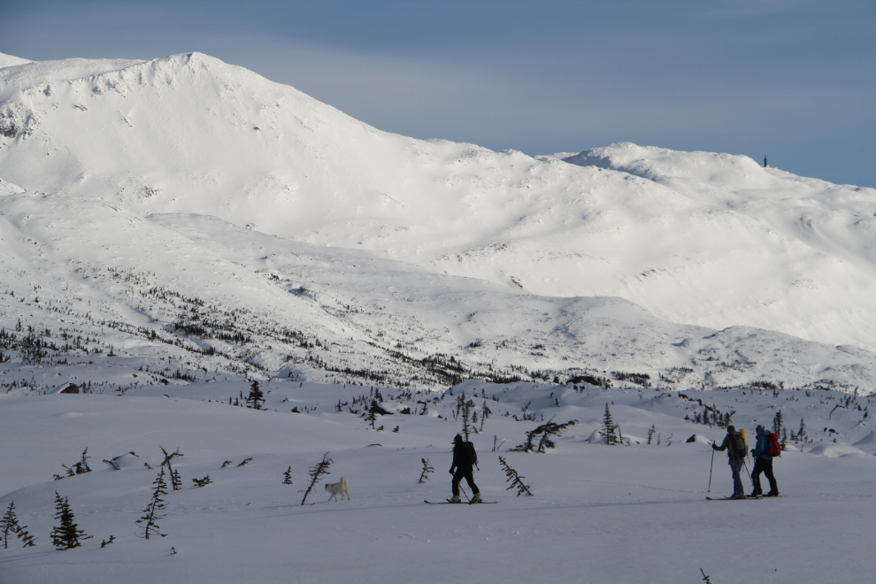 Skiers heading into the White Pass backcountry