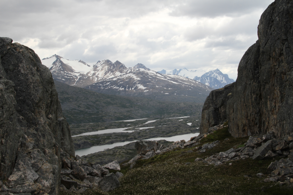 Hiking Summit Creek Hill in the White Pass