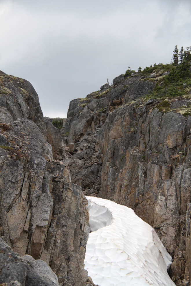 Hiking Summit Creek Hill in the White Pass