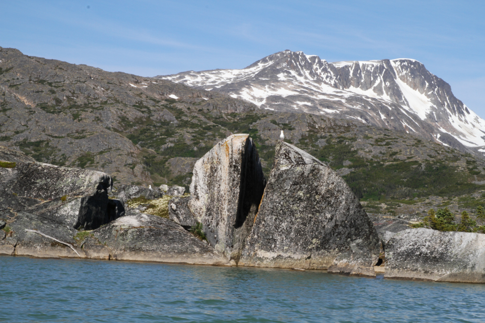 Split granite boulder erratic in the White Pass