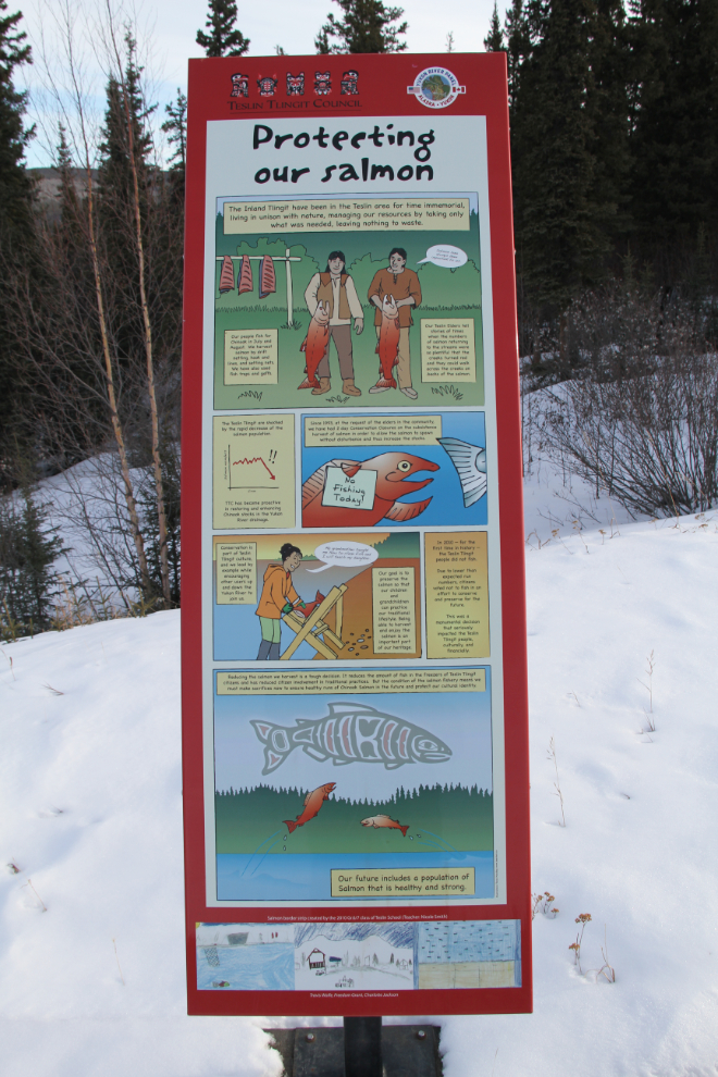 Teslin Tlingit Council salmon information panels