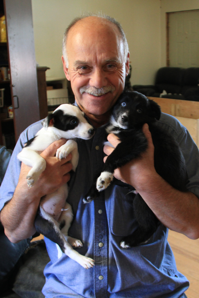 Puppies being adopted at the YARN shelter in Watson Lake, Yukon