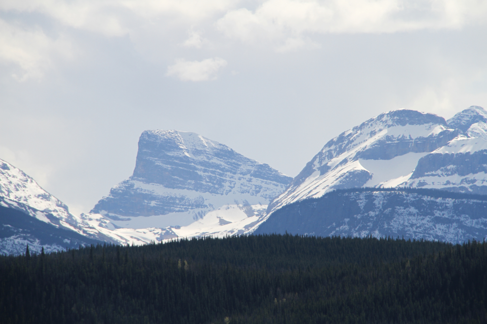Peaks near Tumbler Ridge, BC