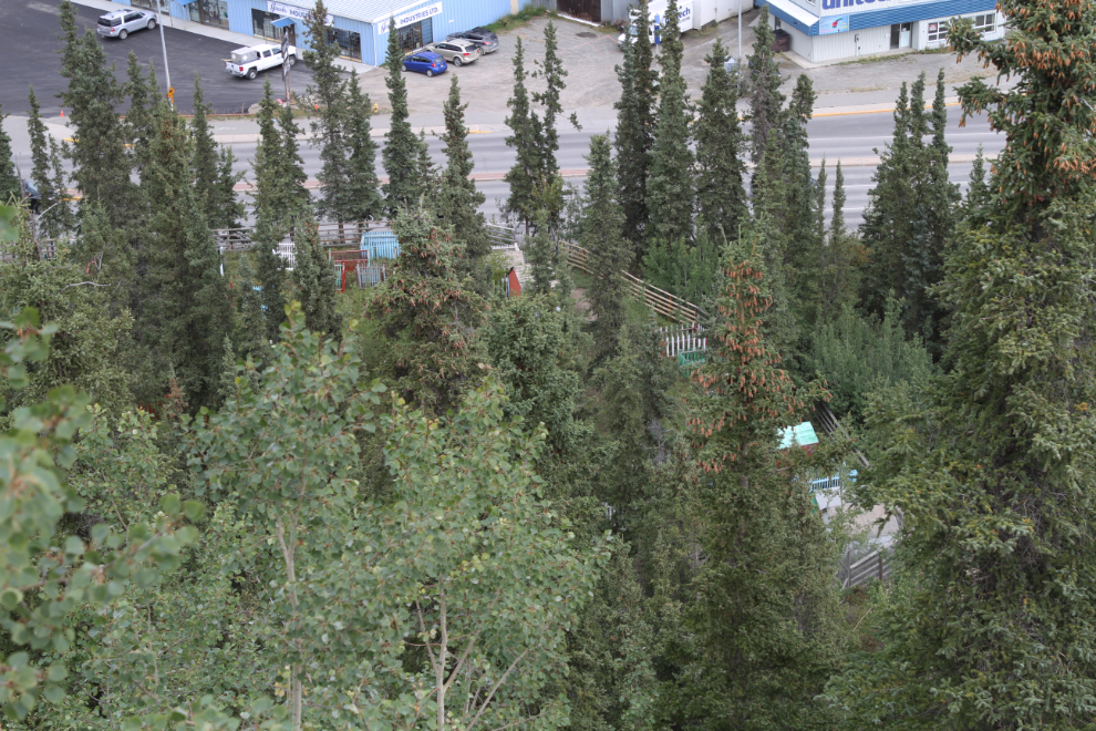 First Nations cemetery along Spook Creek in Whitehorse, Yukon