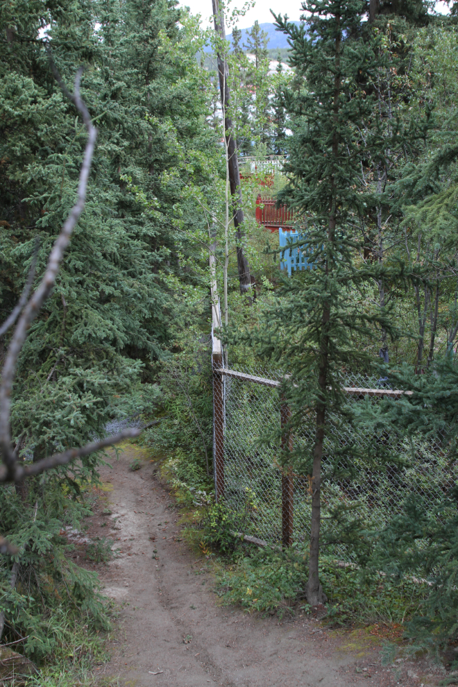 First Nations cemetery along Spook Creek in Whitehorse, Yukon