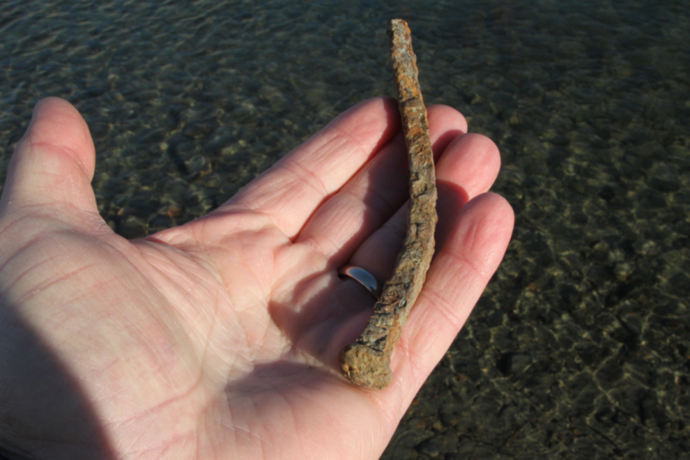 A hand-made spike along the Yukon River at Whitehorse.