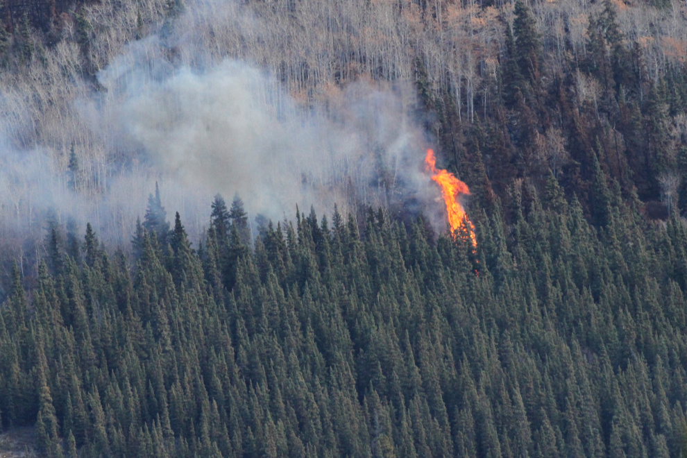 Windy Arm wildfire