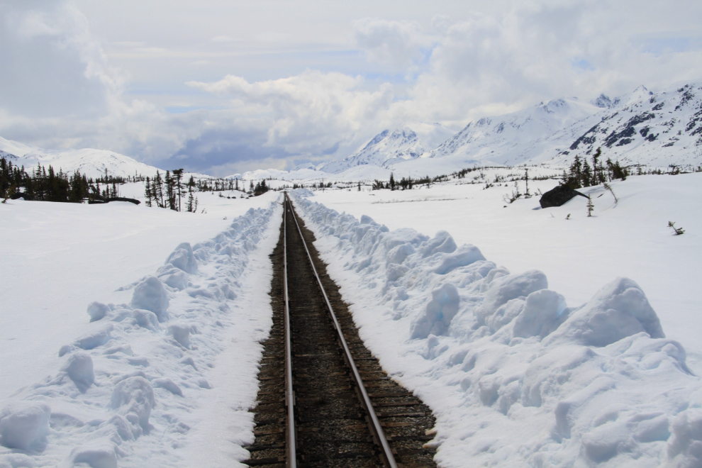 The White Pass Meadows still buried in snow