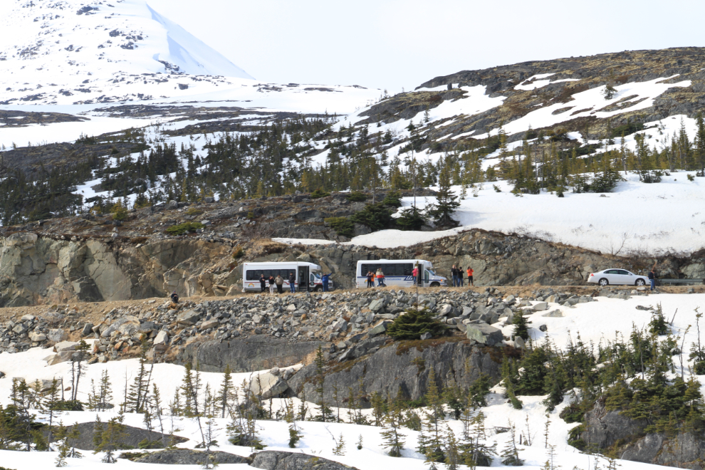 Tour buses on the South Klondike Highway