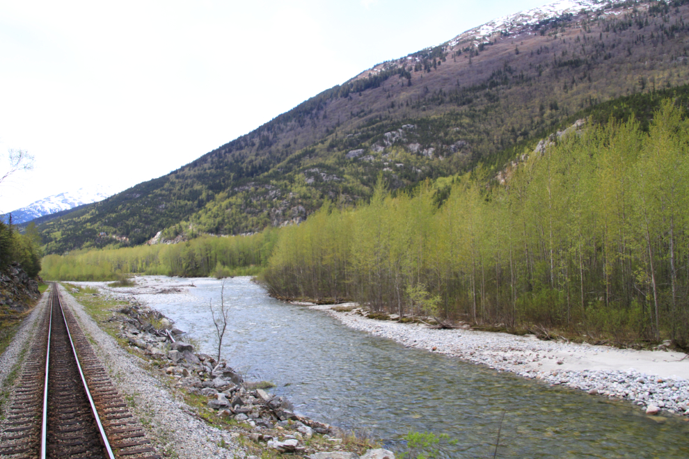 The lower Skagway River