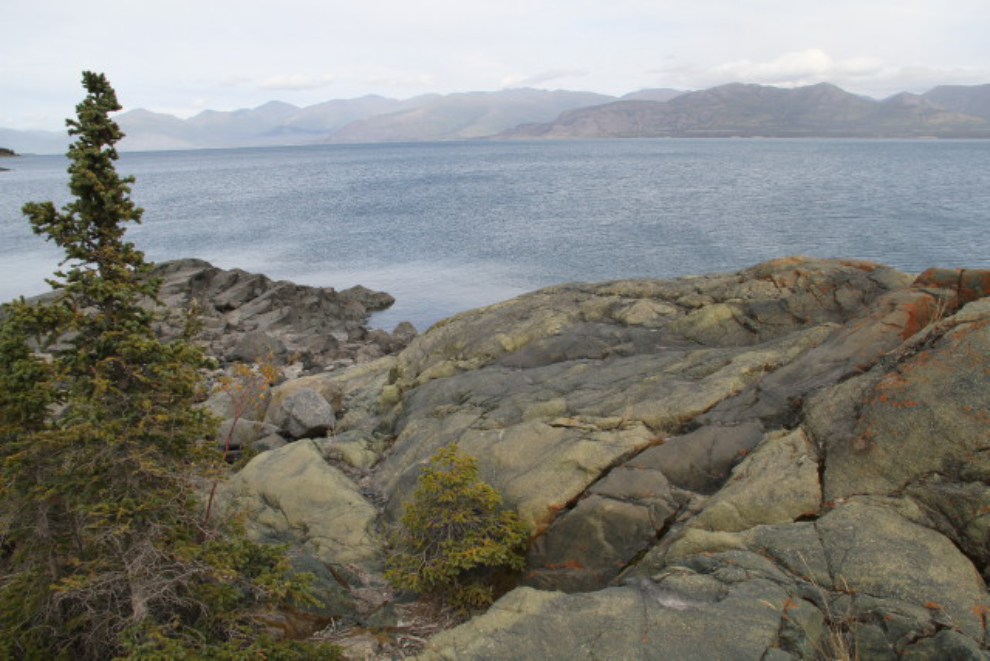 A heavily-weathered granite peninsula on Kluane Lake
