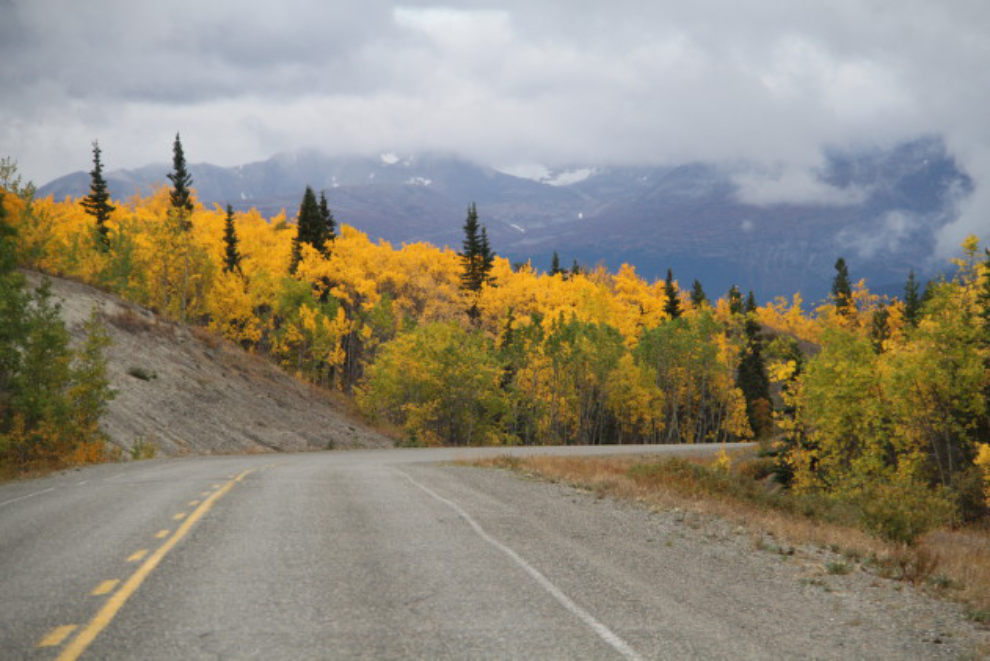 Fall colours along the South Klondike Highway
