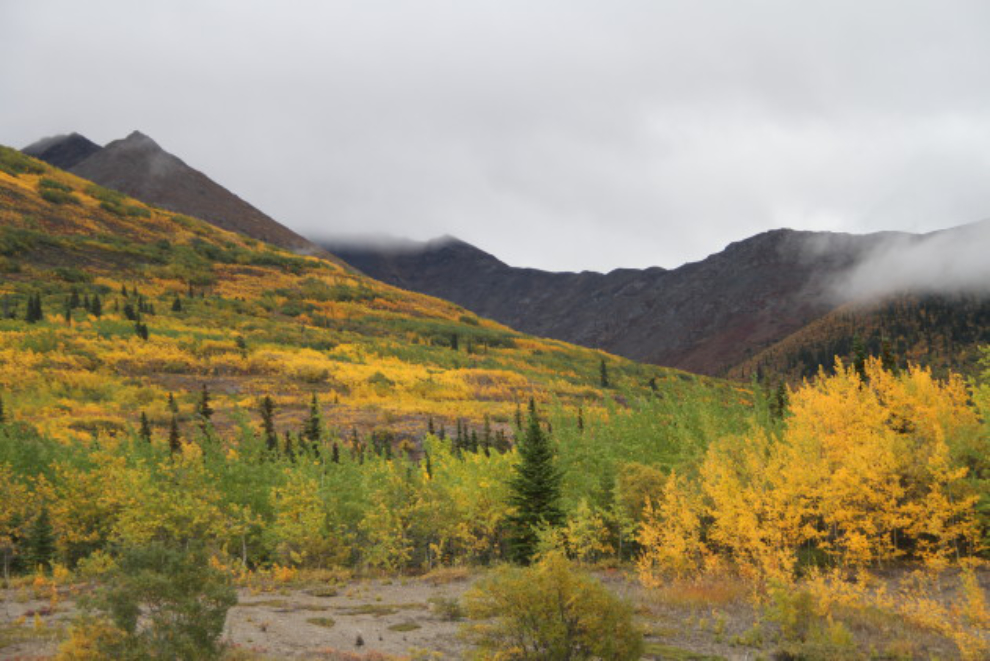 Fall colours along the South Klondike Highway