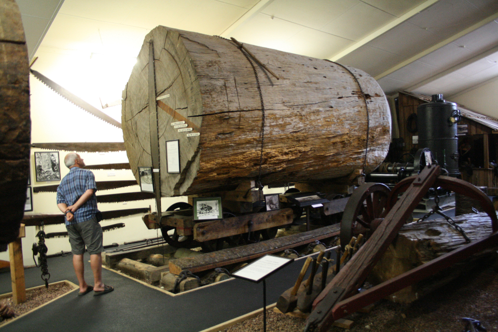 Kauri Museum at Matakohe, New Zealand