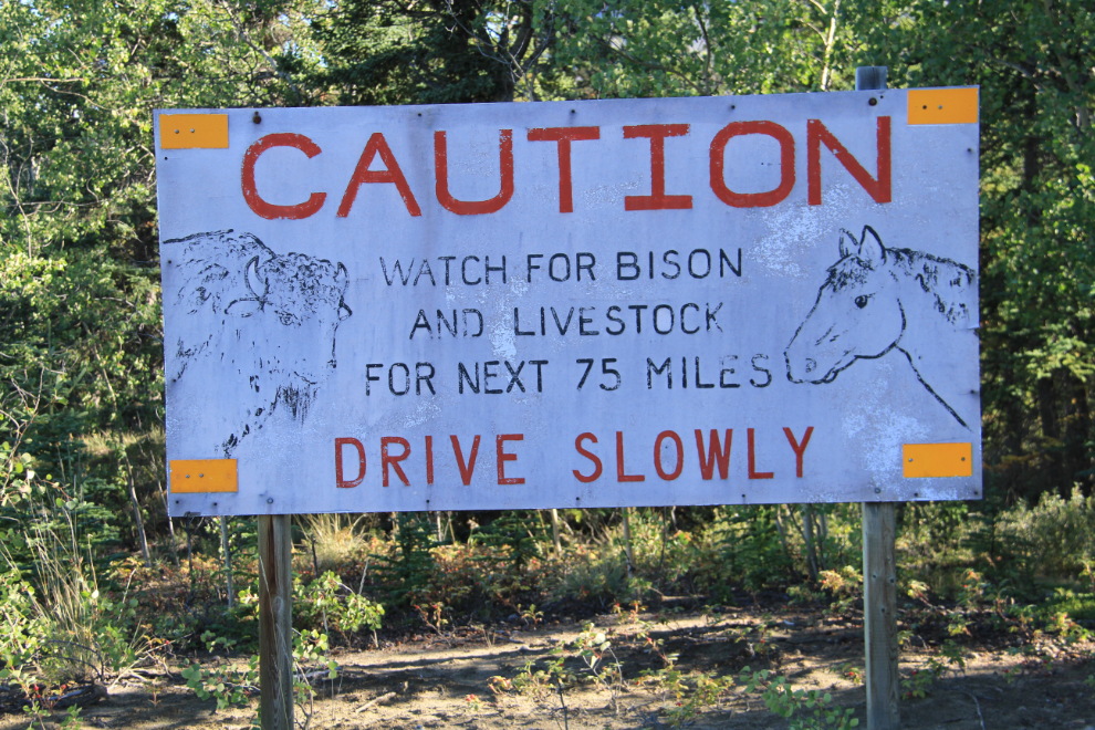 Aishihik Road, Yukon