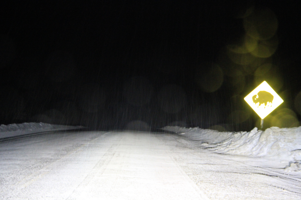 Bison warning sign on a snowy Alaska Highway night