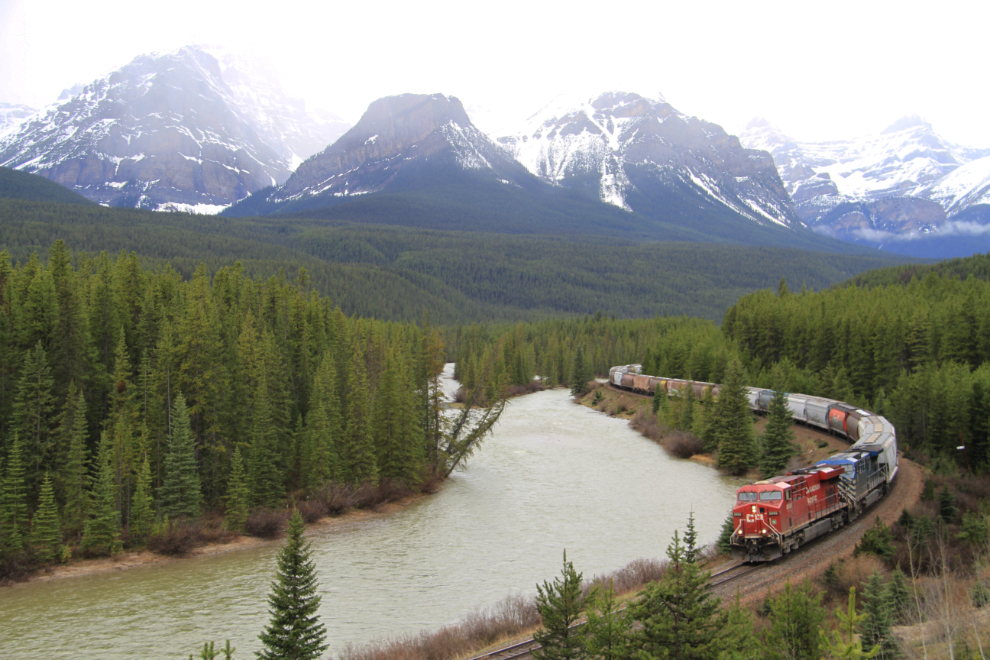 A train at Morant's Curve in the Canadian Rockies