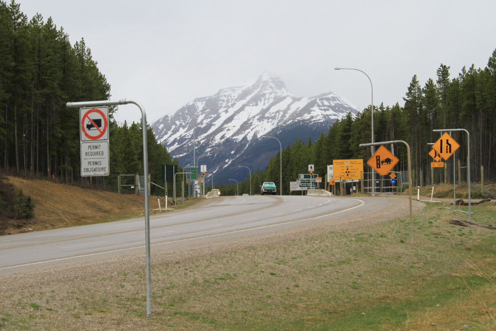 A glut of signs at the start of the Icefields Parkway