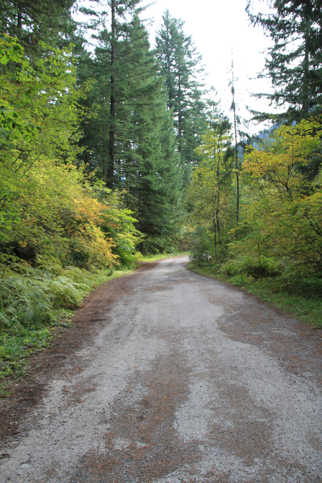 The old highway through the Fraser Canyon