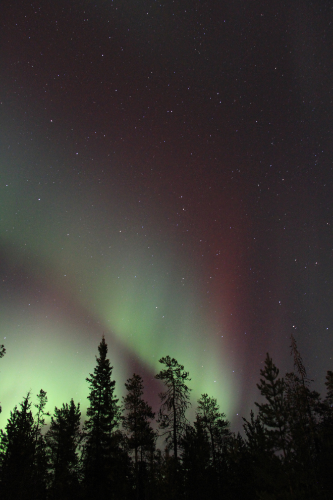 The Northern Lights from my driveway in Whitehorse, Yukon