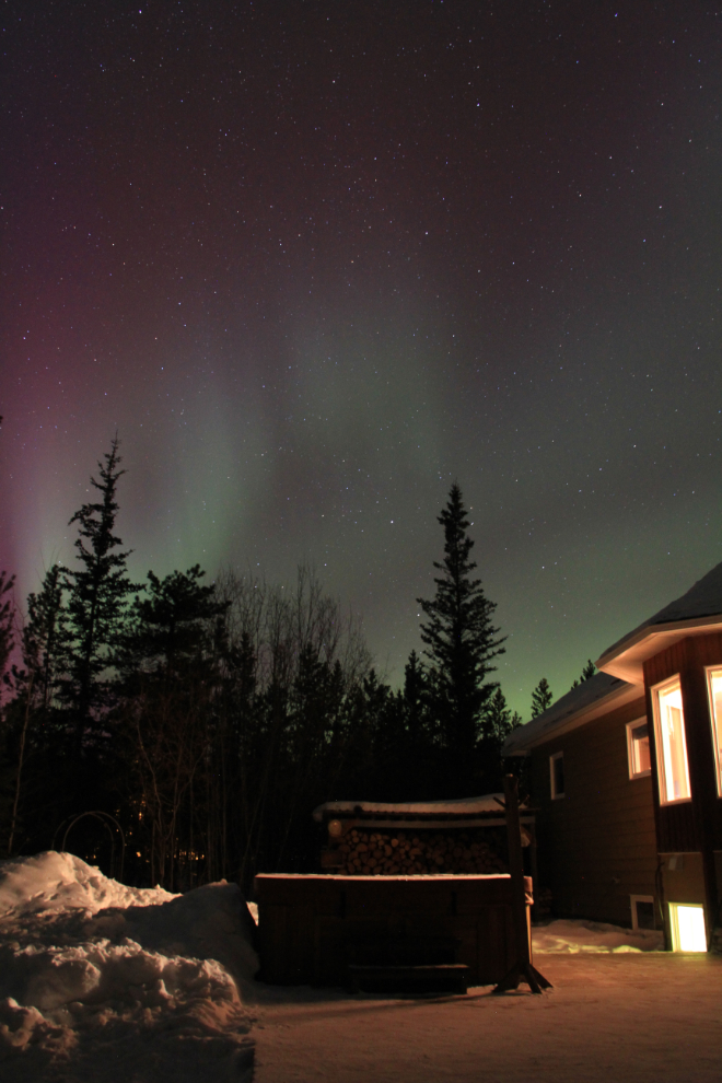 The aurora borealis from my back yard in Whitehorse, Yukon
