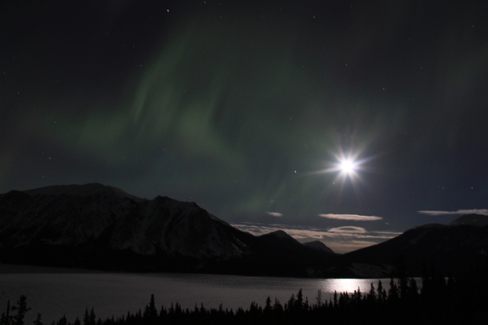 The aurora borealis Yukon