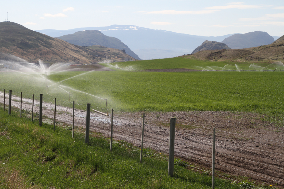 Irrigating the desert for farming at Cache Creek, BC