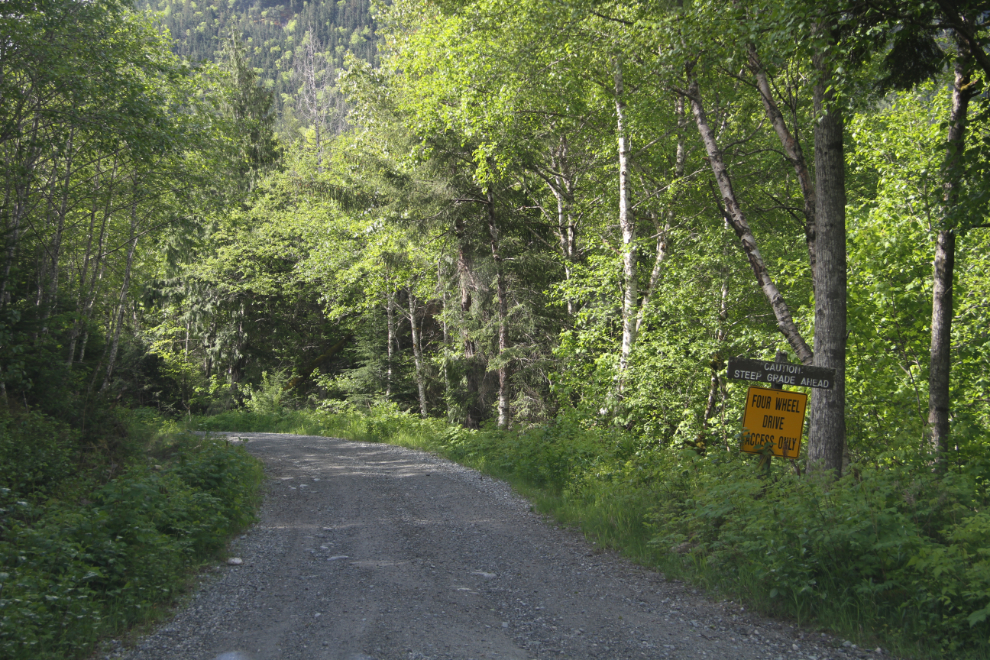 An old logging road leading up Clayton Creek at Bella Coola