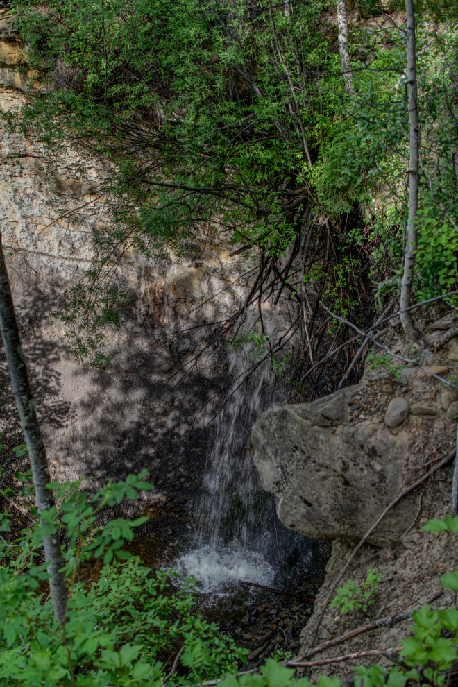 Volmer Falls is just off the trail to Bergeron Falls - Tumbler Ridge Geopark