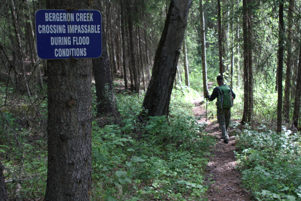 The trail to Bergeron Falls - Tumbler Ridge Geopark