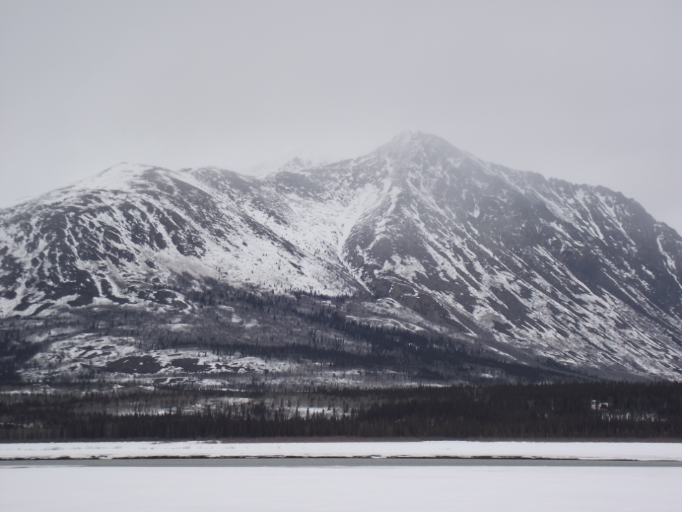 Caribou Mountain, Yukon