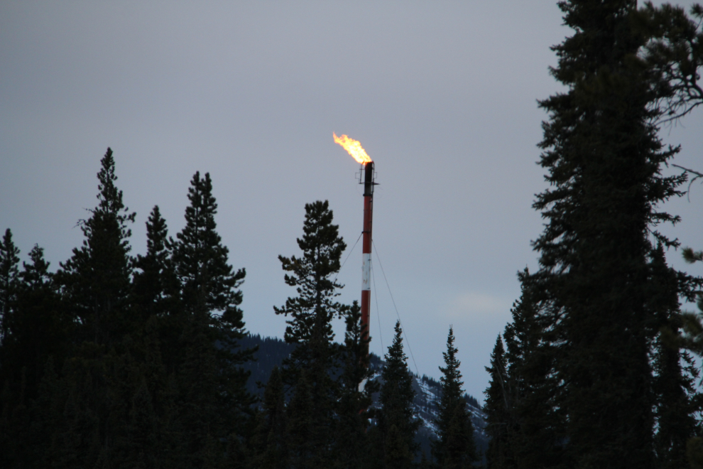 Natural gas flare along Highway 11 east of Nordegg