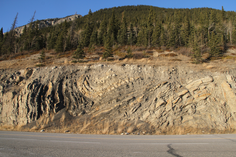 Folded rocks along Alberta Highway 11