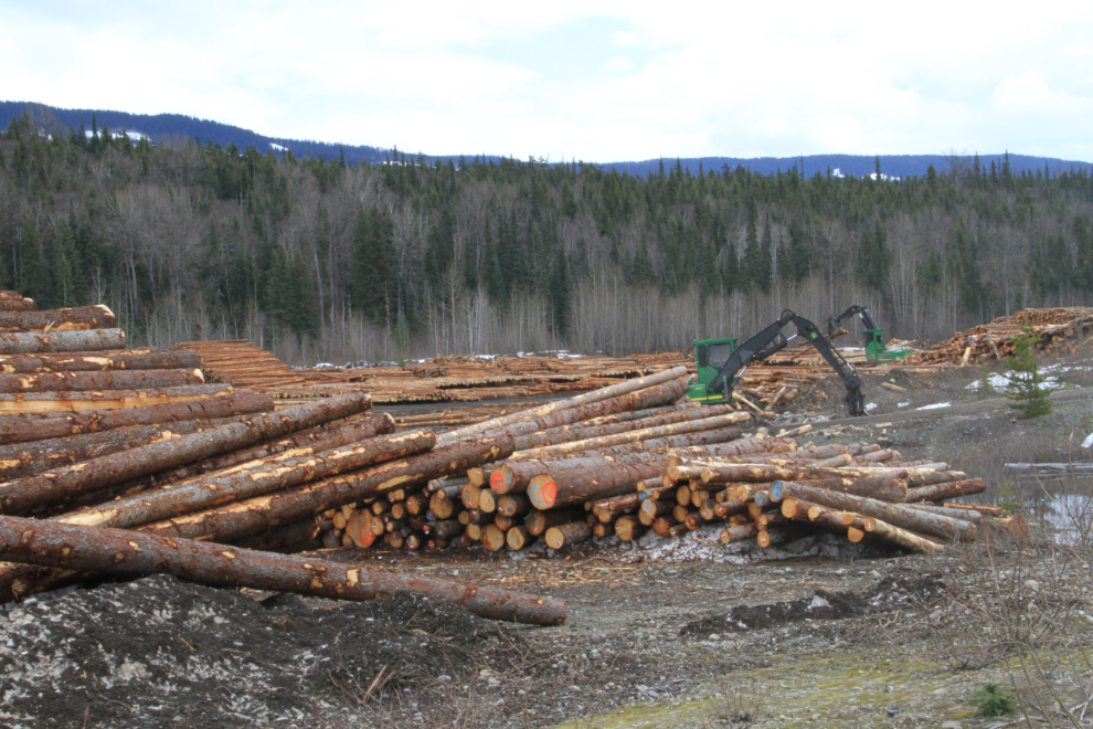 Log sorting along BC Hwy 37