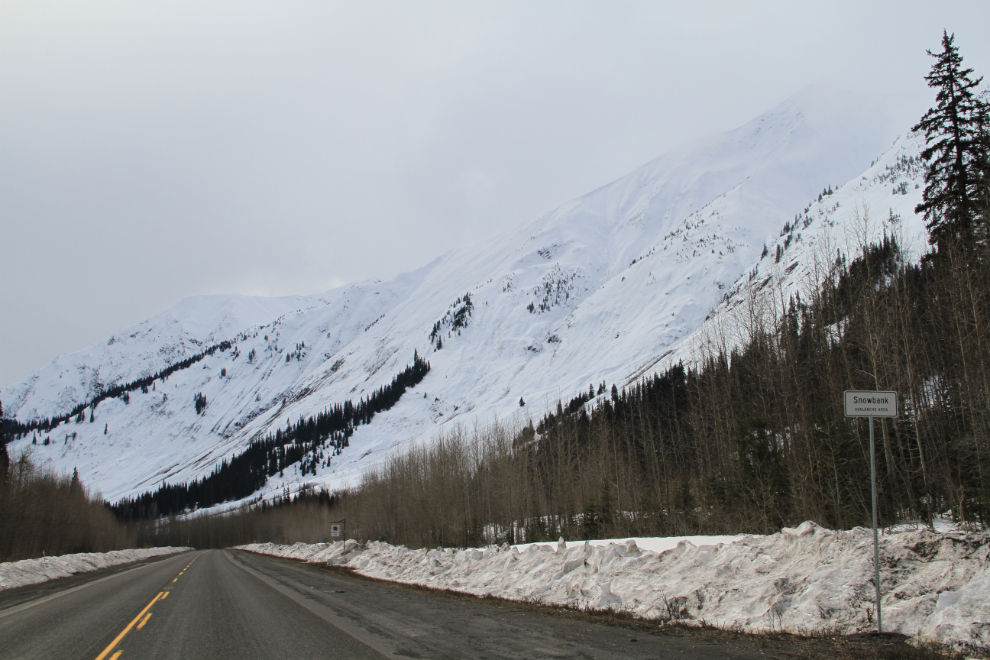 Snowbank Avalanche Area on BC Highway 37, the Stewart-Cassiar