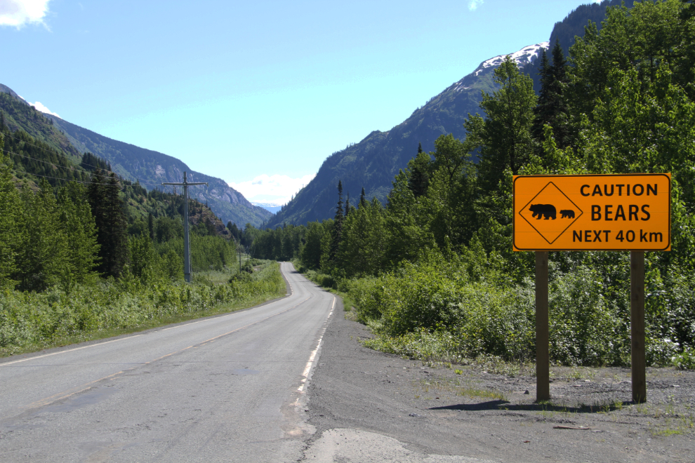 Bear warning on BC Highway 37A, the Glacier Highway
