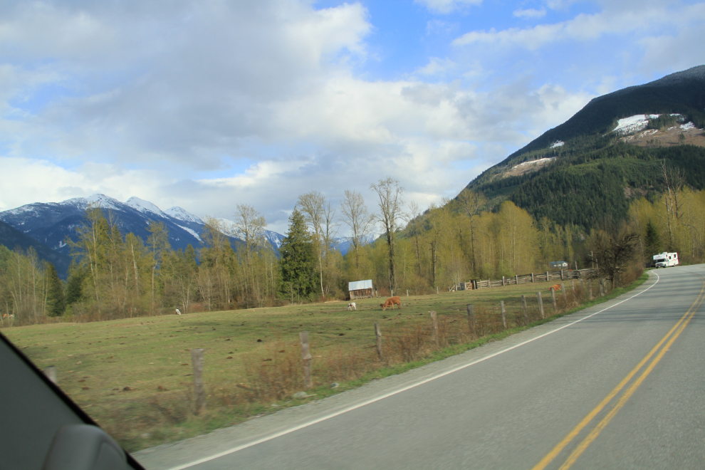 Farming near Pemberton, BC