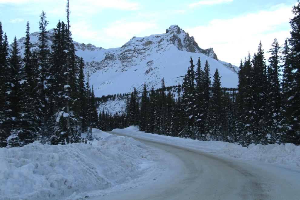 Bow Summit, Icefields Parkway