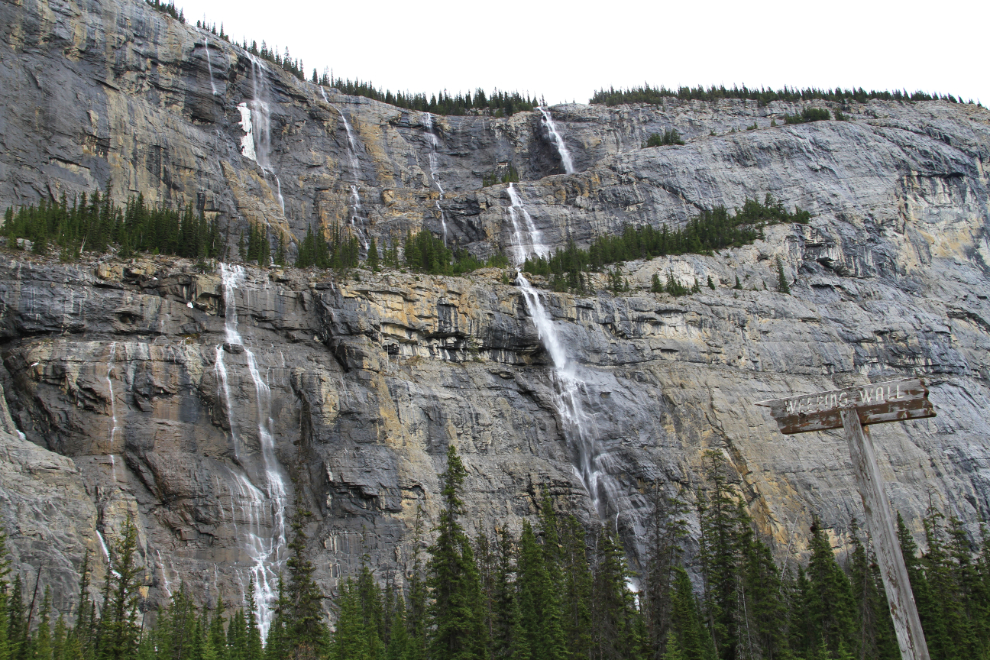 Weeping Wall, Icefields Parkway