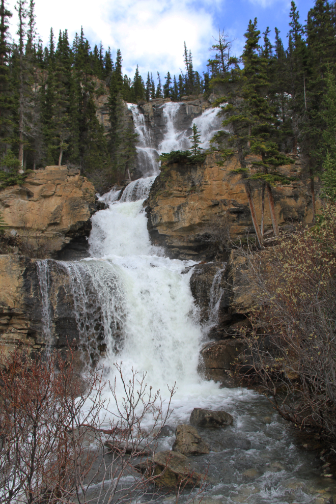 Tangle Creek waterfall, Icefields Parkway