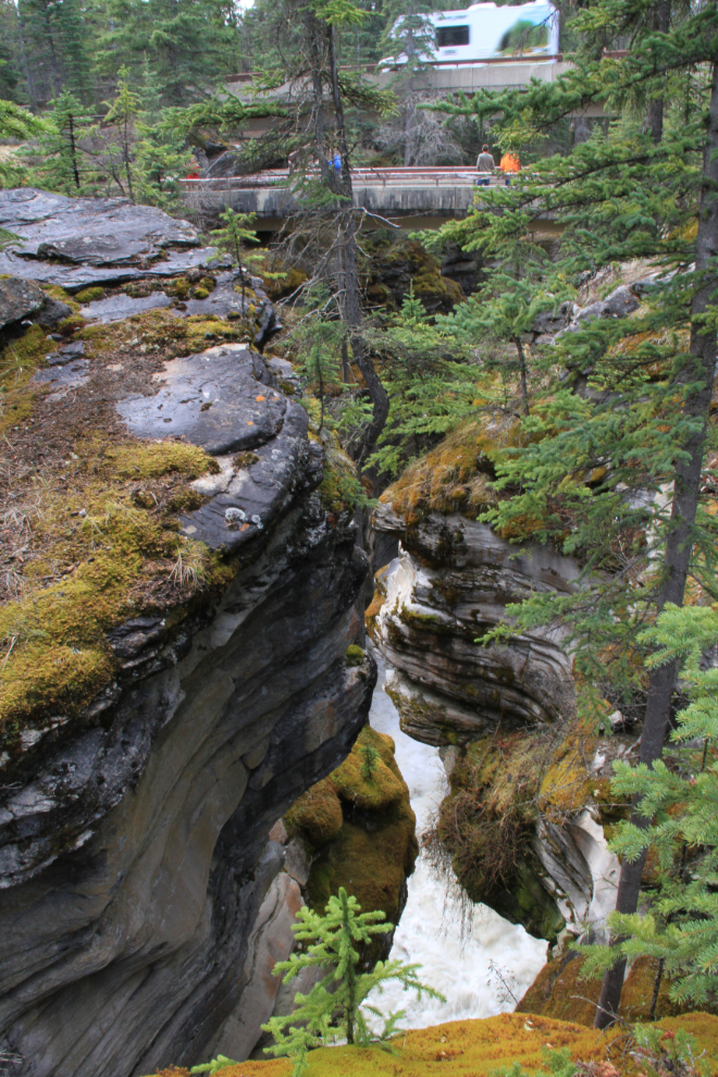 Athabasca Falls, Icefields Parkway