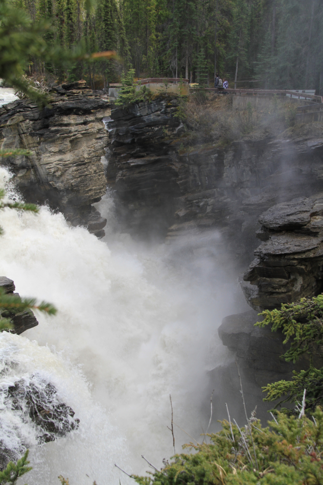 Athabasca Falls, Icefields Parkway