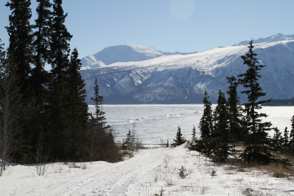 A pressure ridge on Kluane Lake, Yukon