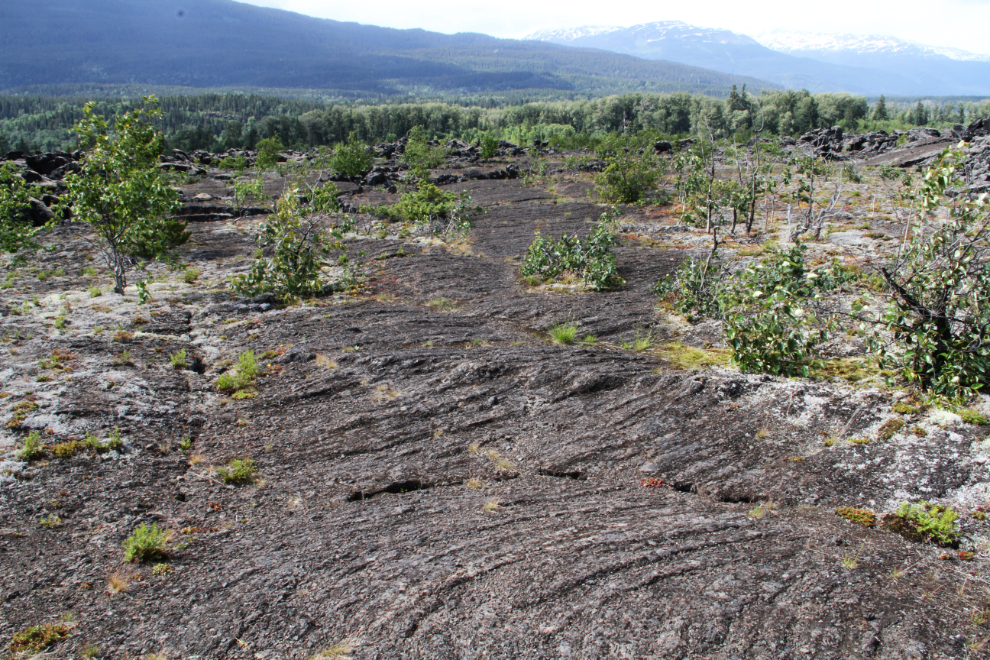 Signs of flowing lava at Nisga'a Memorial Lava Bed Provincial Park