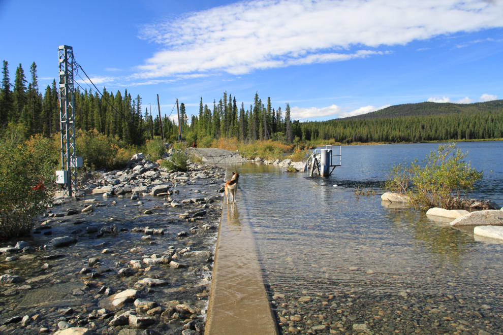 Yukon Energy's small Canyon Lake Dam