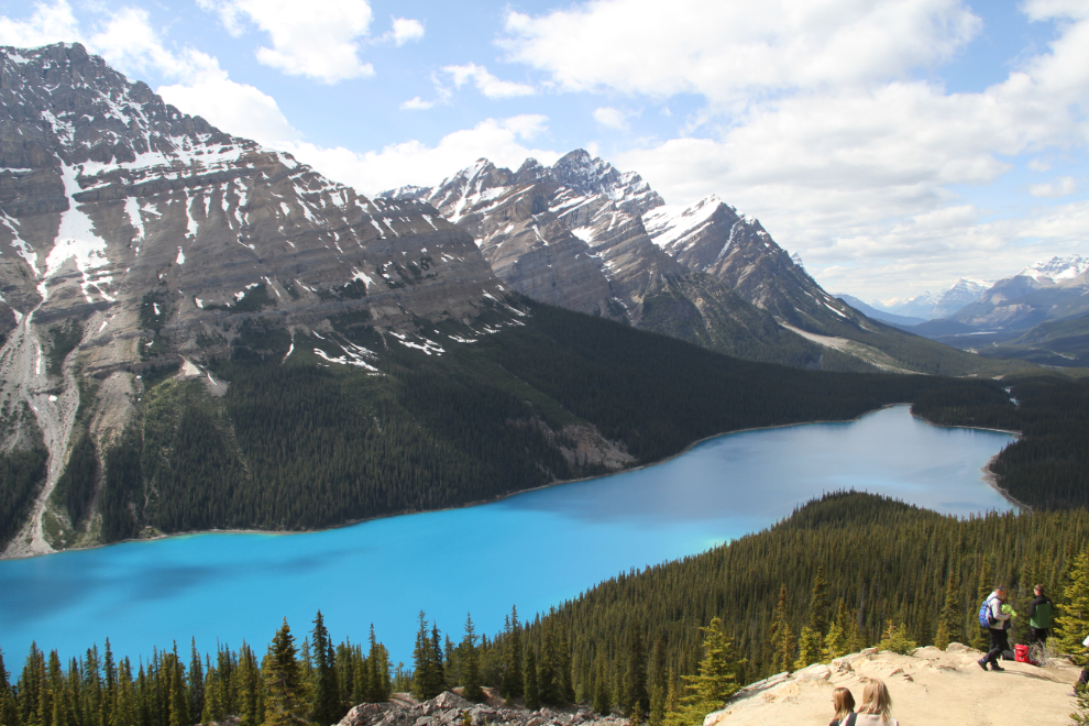 Peyto Lake, on the Icefields Parkway